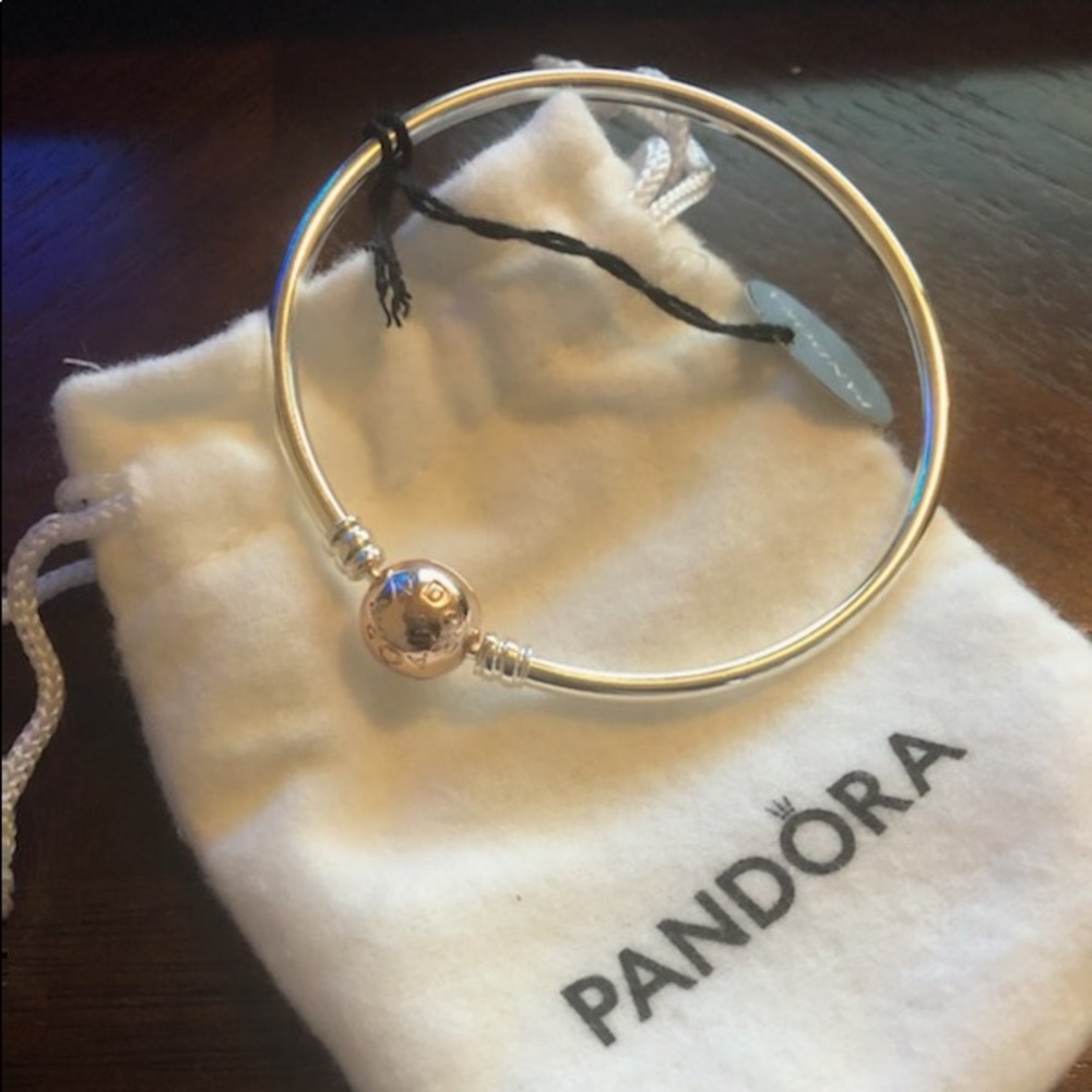 Pandora moments bangle